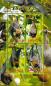 Preview:  - Kopie